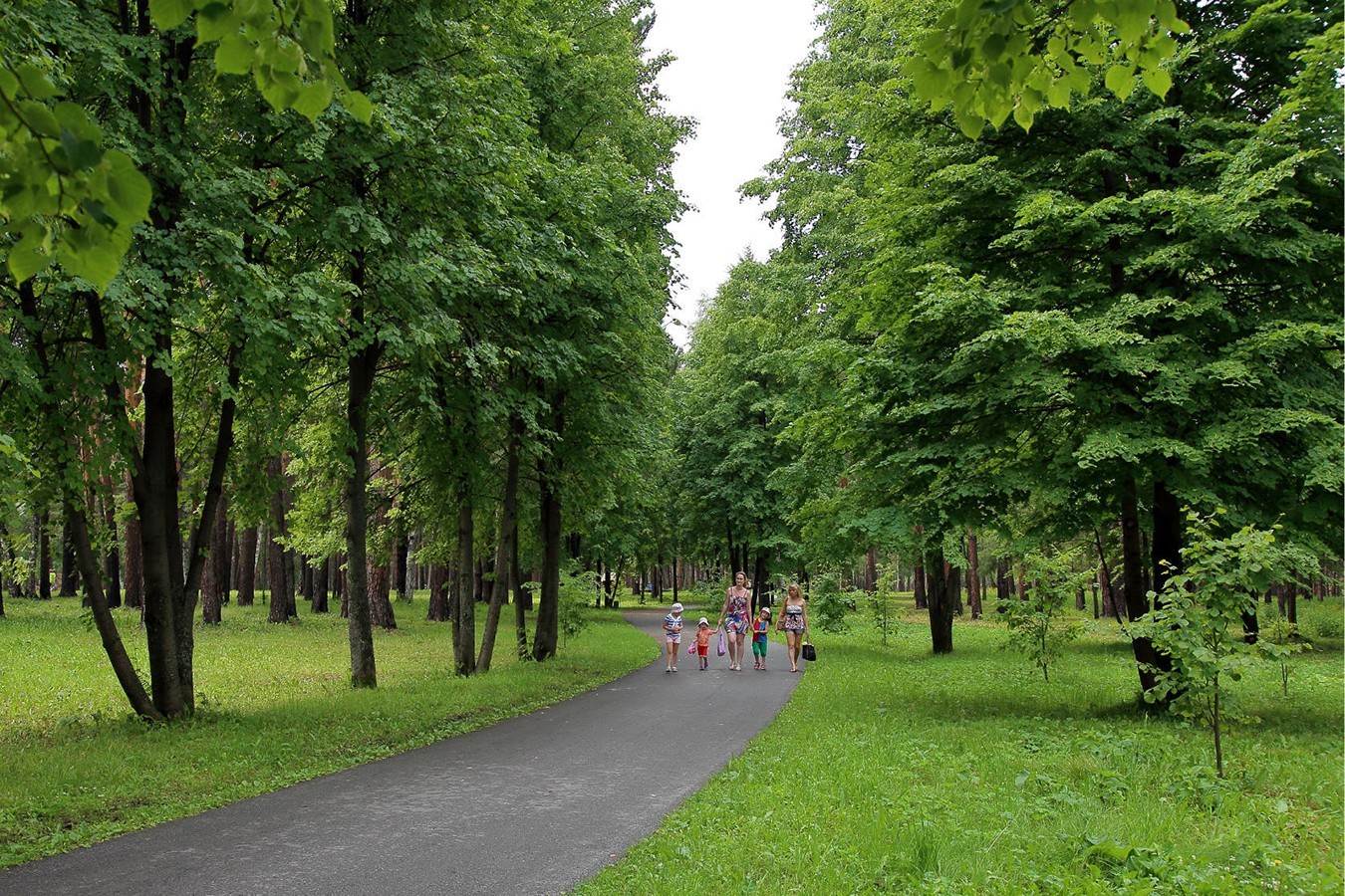 Зенковский парк в Прокопьевске - фото и описание парка